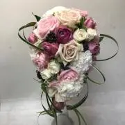 いとの画像