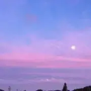 にこの画像