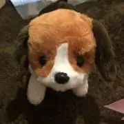 ここちゃんまん★プロフ必須