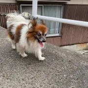 るん