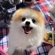 むぎ