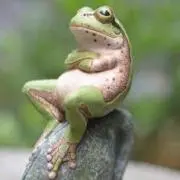 とことこの画像
