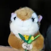 ジュジュの画像