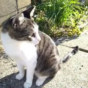 ひさ太郎の画像