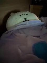 ichikaの画像