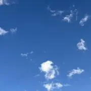 ニクス