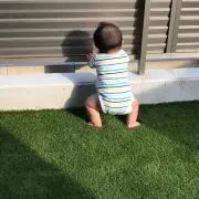 ありんこの画像