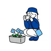 ゆきみだいふくの画像