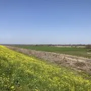 Hidekiの画像