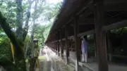 コロ　値下げ交渉OK!の画像