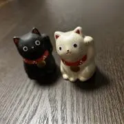 もっちゃんの画像