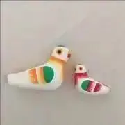 ペリカンの画像