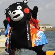 真琴の画像