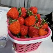 aamelodyの画像