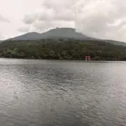 ニムの画像