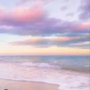 みーこの画像