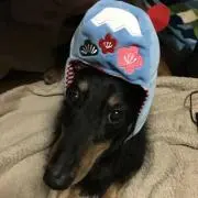 アロマ