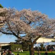青み