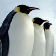 なっつ