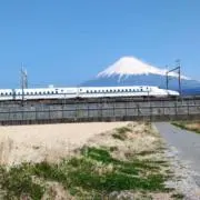 リーフの画像