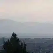 たぬき　プロフ必須の画像