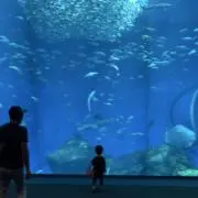 みととの画像