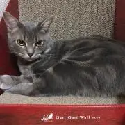 レオ大好き