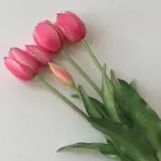 ______kk1112の画像