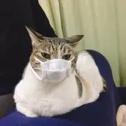 tomokaの画像