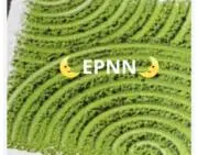 EPNN（購入コメント優先 プロフ必読）の画像