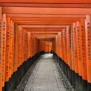 イナリの画像