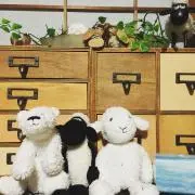 やっつんの画像