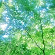 そらの画像