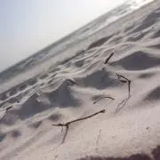 ヒトリエ ( wowaka ) アンノウンマザーグース キーホルダー ヒトリエ wowaka アンノウン・マザーグース ラバーキーホルダー