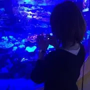 ☆値下げ相談OK☆の画像