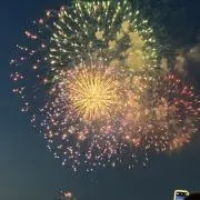 hanakoの画像