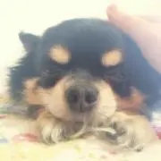 ma⭐︎8376の画像
