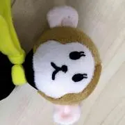 おさるの画像