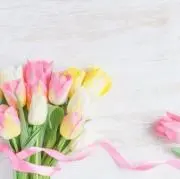 ♡もみの木♡即購入大歓迎♡休日発送可‼️の画像