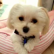 ともみん