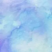 macaronの画像