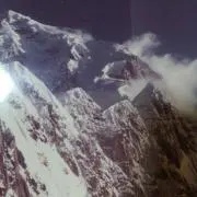 エーデルワイスの画像