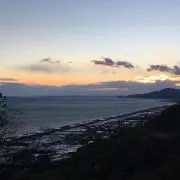はるの画像