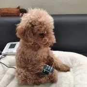 ありが島 プロフ必読お願い致しますの画像