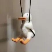 皐月