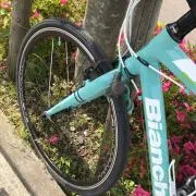 ちんに