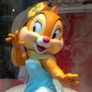 lilofoy