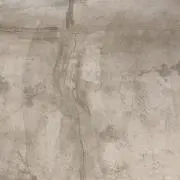 saradaの画像