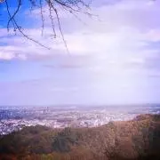 picotanの画像