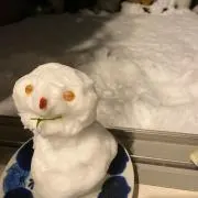 Y chiefの画像